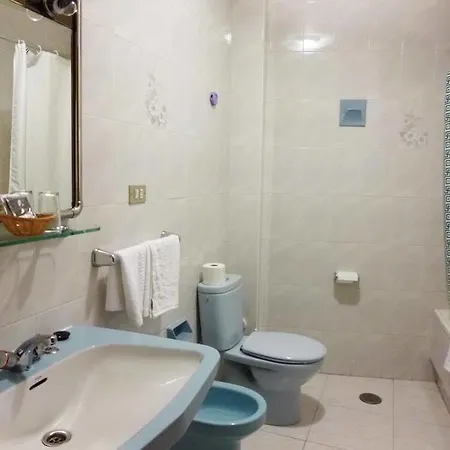 博奈尔酒店 酒店 *